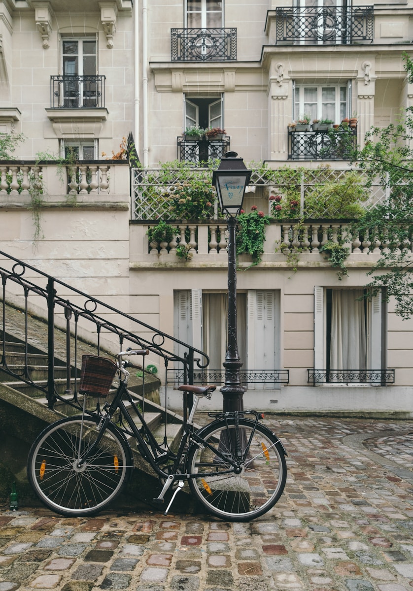 comment réaliser la destruction nid de frelons asiatiques Paris 6 ?